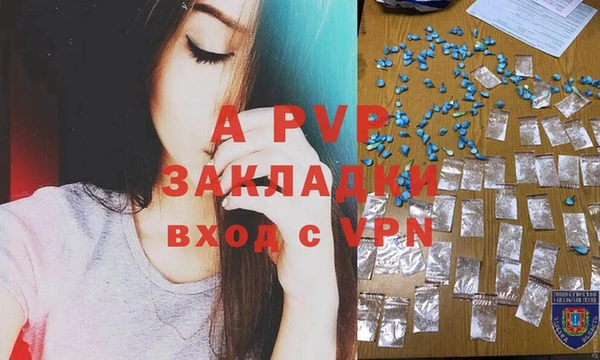 альфа пвп Новодвинск