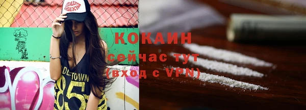 альфа пвп Новодвинск