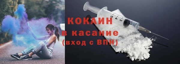 твердый Надым