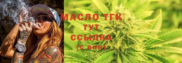 твердый Надым