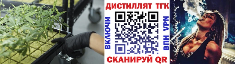 KRAKEN   Инта  ТГК THC oil 
