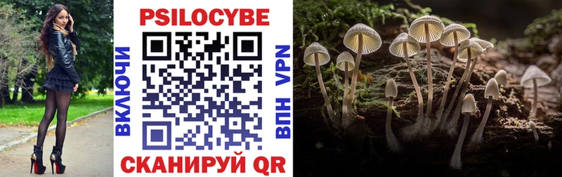 OMG вход Инта Псилоцибиновые грибы прущие грибы